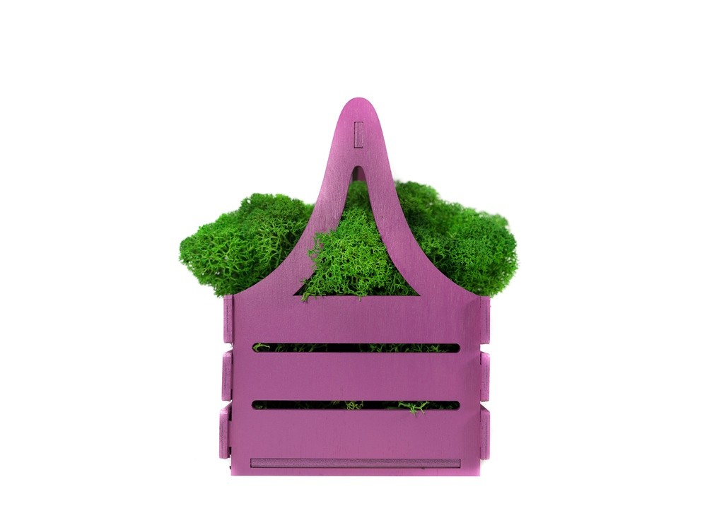 Композиция Корзинка со мхом - 2