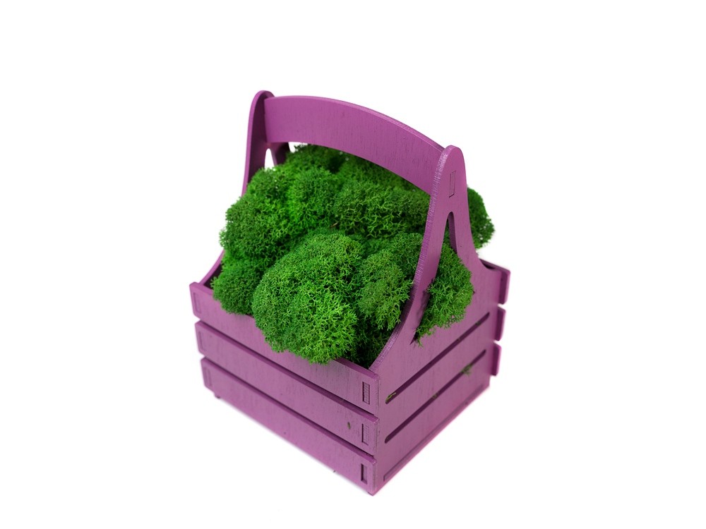 Композиция Корзинка со мхом - 4