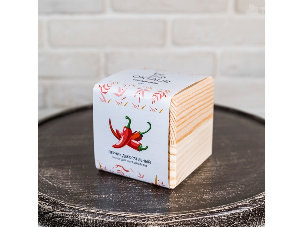 Набор для выращивания Big village cube Перчик декоративный - 3