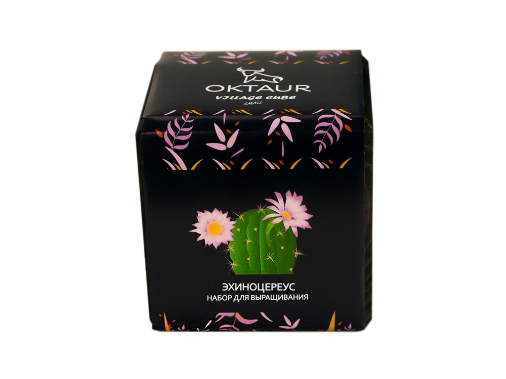Набор для выращивания Small village cube Эхиноцереус - 2