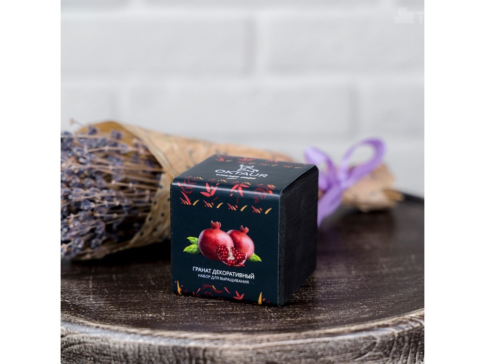 Набор для выращивания Small village cube Гранат комнатный - 3
