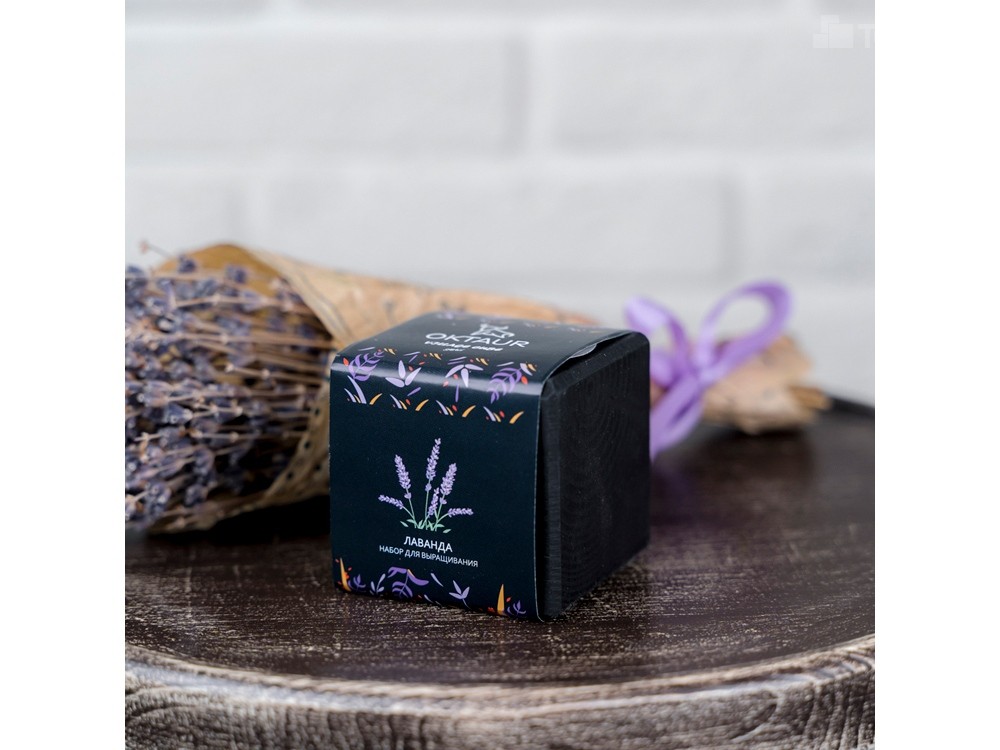 Набор для выращивания Small village cube Лаванда - 3