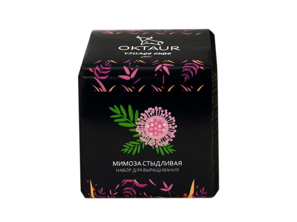 Набор для выращивания Small village cube Мимоза стыдливая - 2
