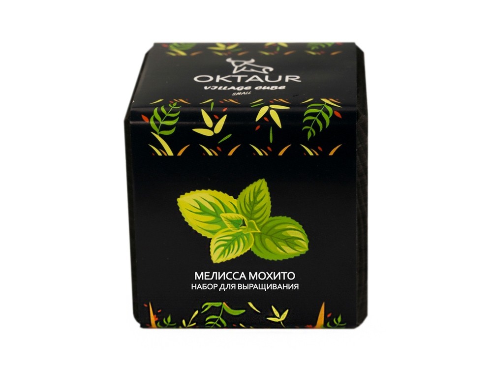 Набор для выращивания Small village cube Мелиса Мохито - 2
