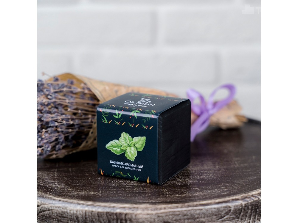 Набор для выращивания Small village cube Базилик ароматный - 3
