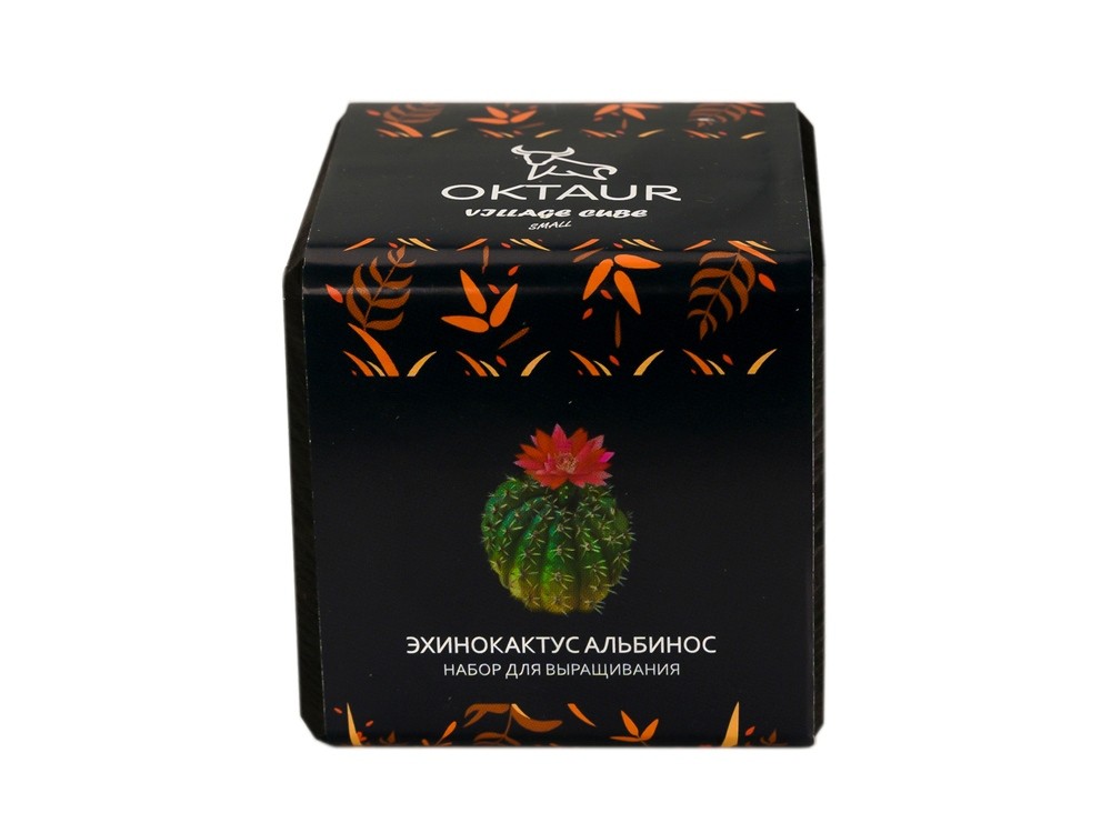 Набор для выращивания Small village cube Эхинокактус Альбинос - 2
