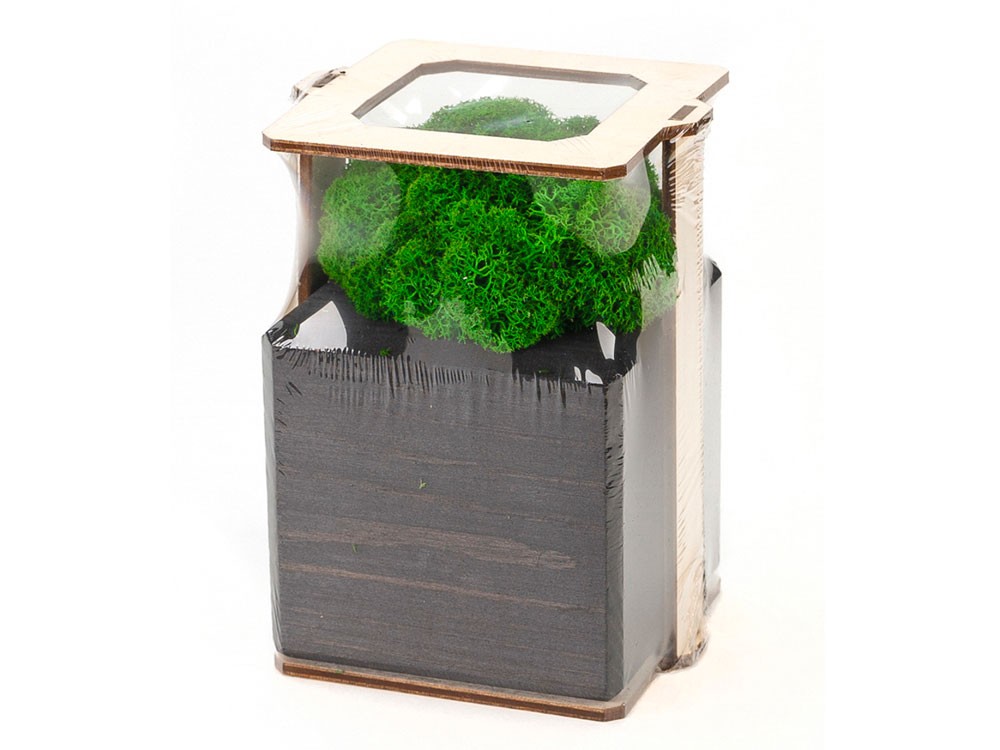 Композиция Мох в интерьере - 5