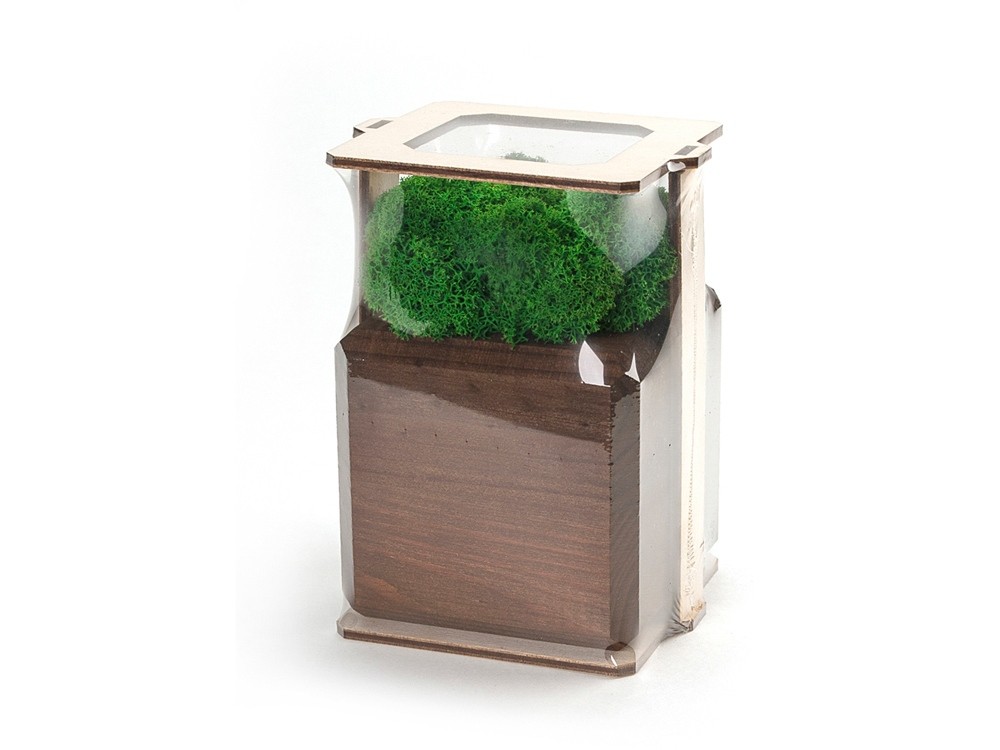 Композиция Мох в интерьере - 4