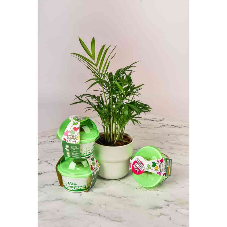 Комплект для выращивания. "Моя микрозелень": БАЗИЛИК - 3