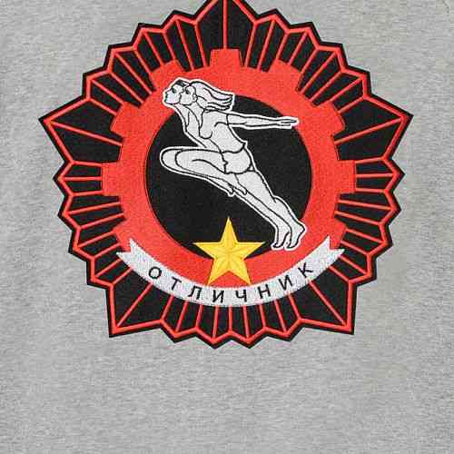 Толстовка на молнии Gourji "Отличник" серая L - 3