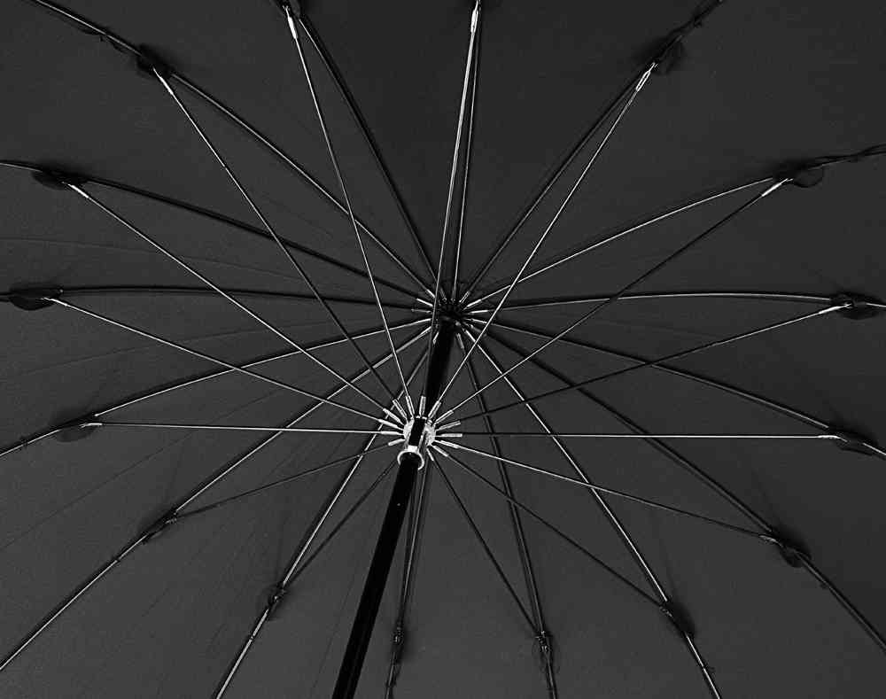 Зонт-трость Big Boss, черный - 3
