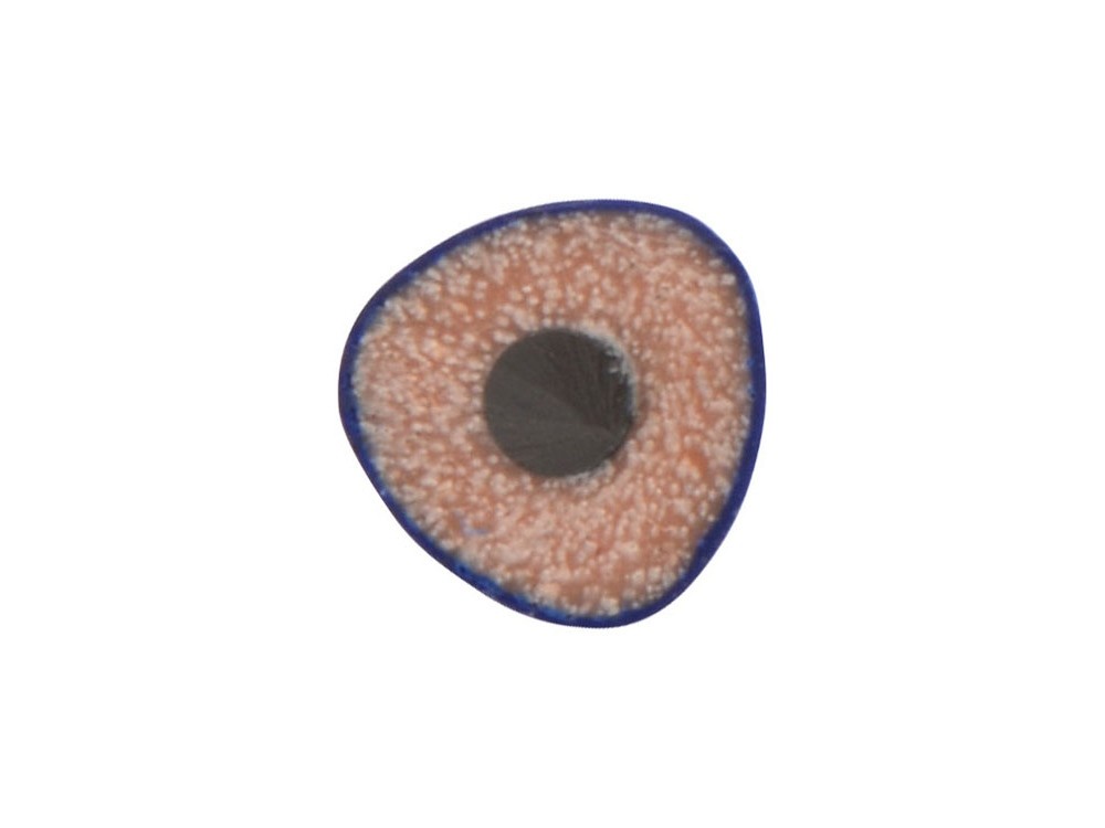 Трехгранный карандаш Conti из переработанных контейнеров - 2