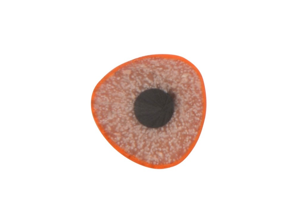 Трехгранный карандаш Conti из переработанных контейнеров - 2