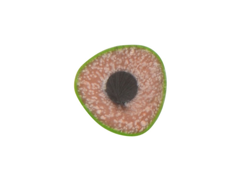 Трехгранный карандаш Conti из переработанных контейнеров - 2