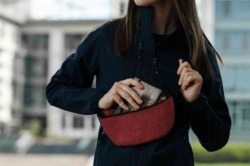 Поясная сумка Handy Dandy, бордовая - 6