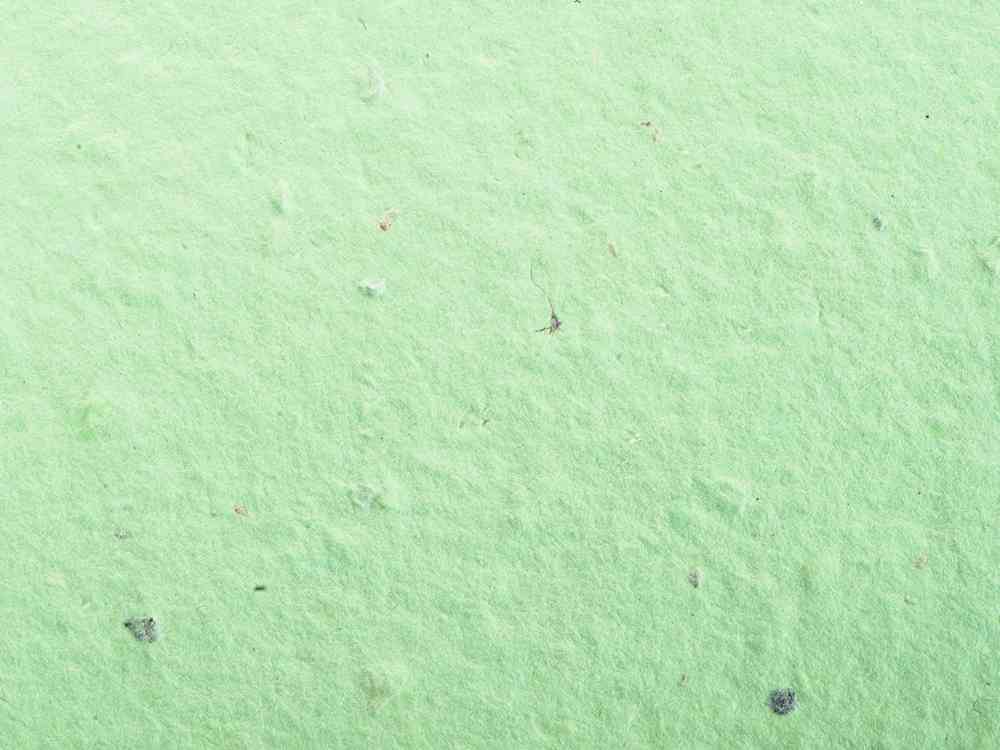 Блокнот А6 с бумажным карандашом и семенами цветов микс - 7