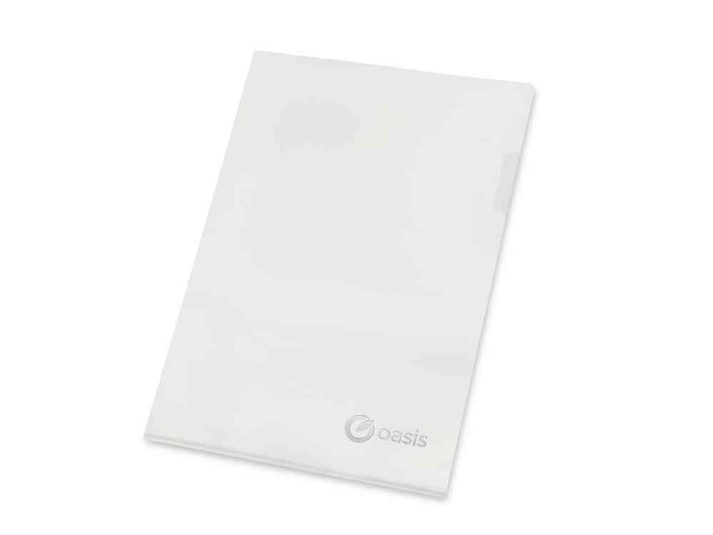 Папка- уголок А4, матовая - 4