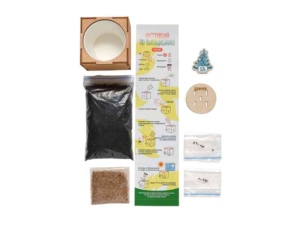 Набор для выращивания Ель Голубая - 2