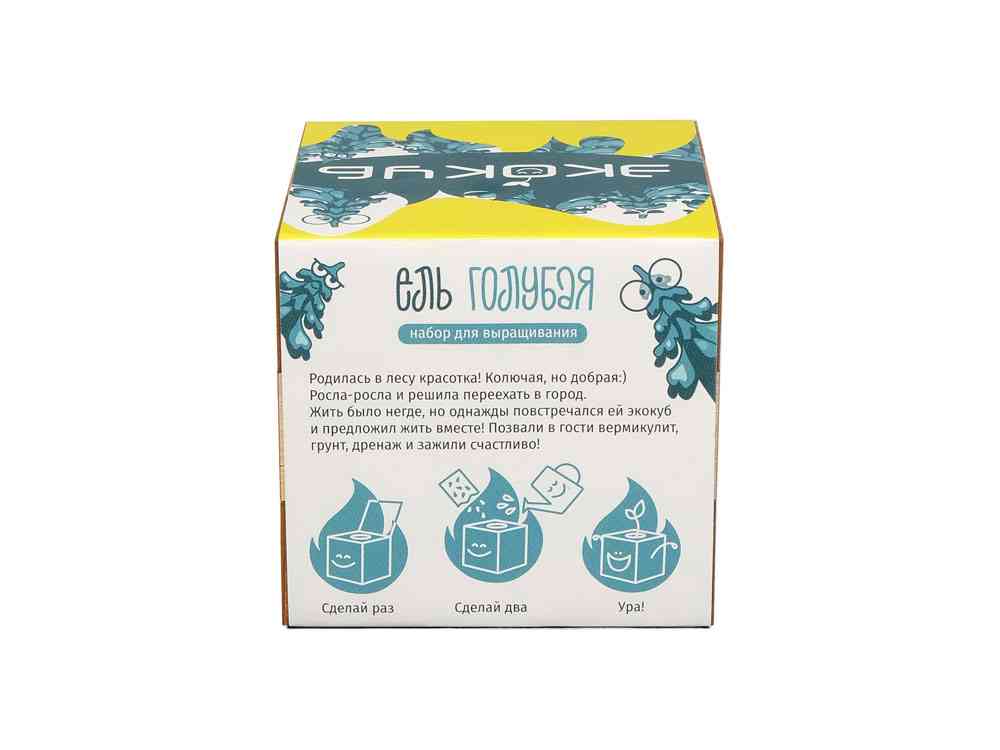 Набор для выращивания Ель Голубая - 4