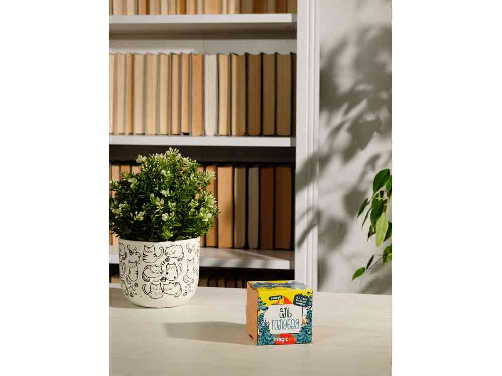 Набор для выращивания Ель Голубая - 5