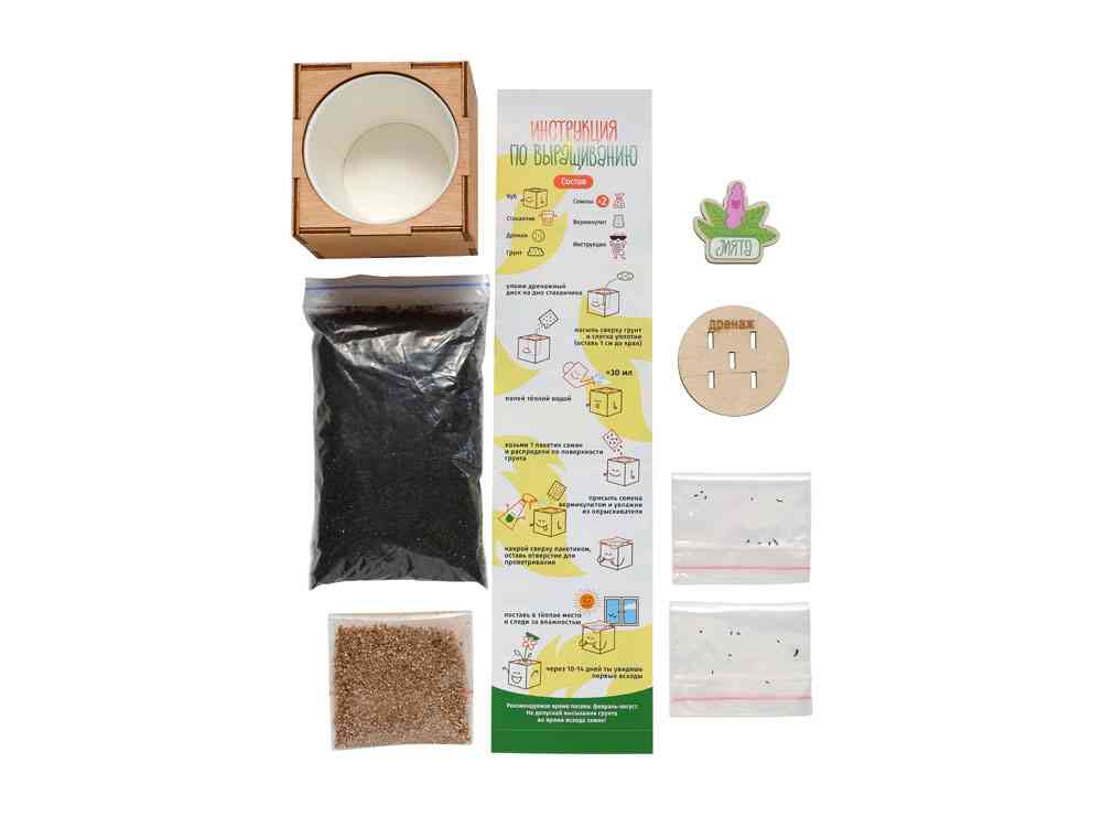 Набор для выращивания Мята - 2