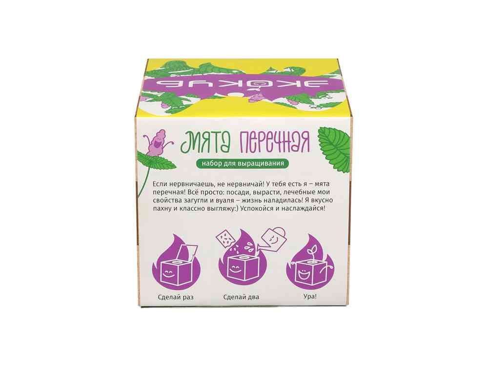 Набор для выращивания Мята - 4