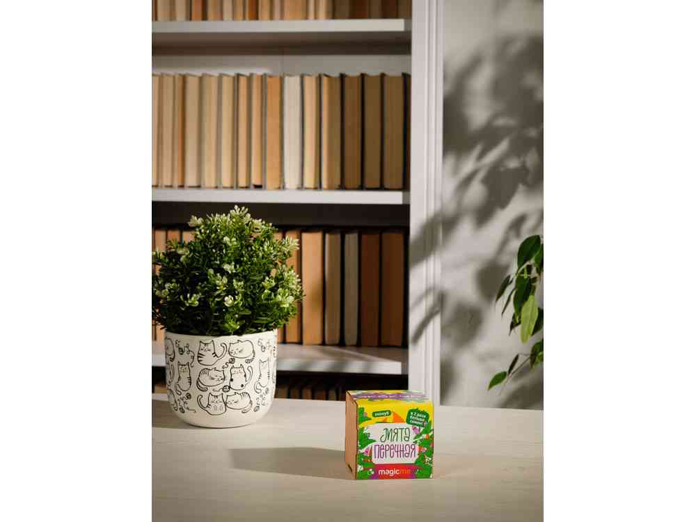 Набор для выращивания Мята - 5