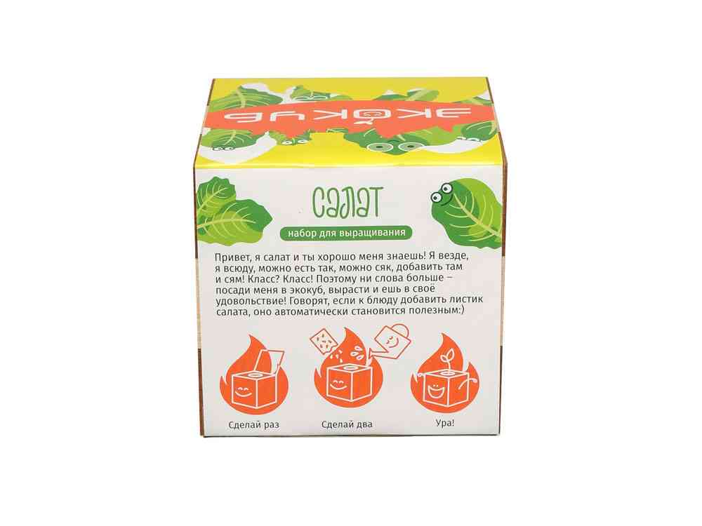 Набор для выращивания Салат - 4
