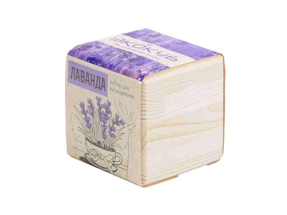 Набор для выращивания Лаванда - 2