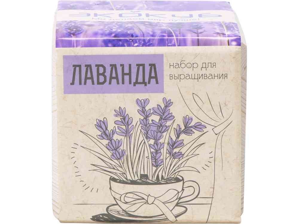Набор для выращивания Лаванда - 3