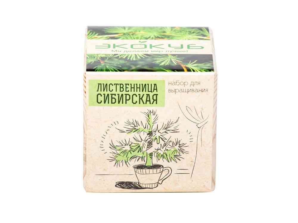 Набор для выращивания Лиственница Сибирская - 3
