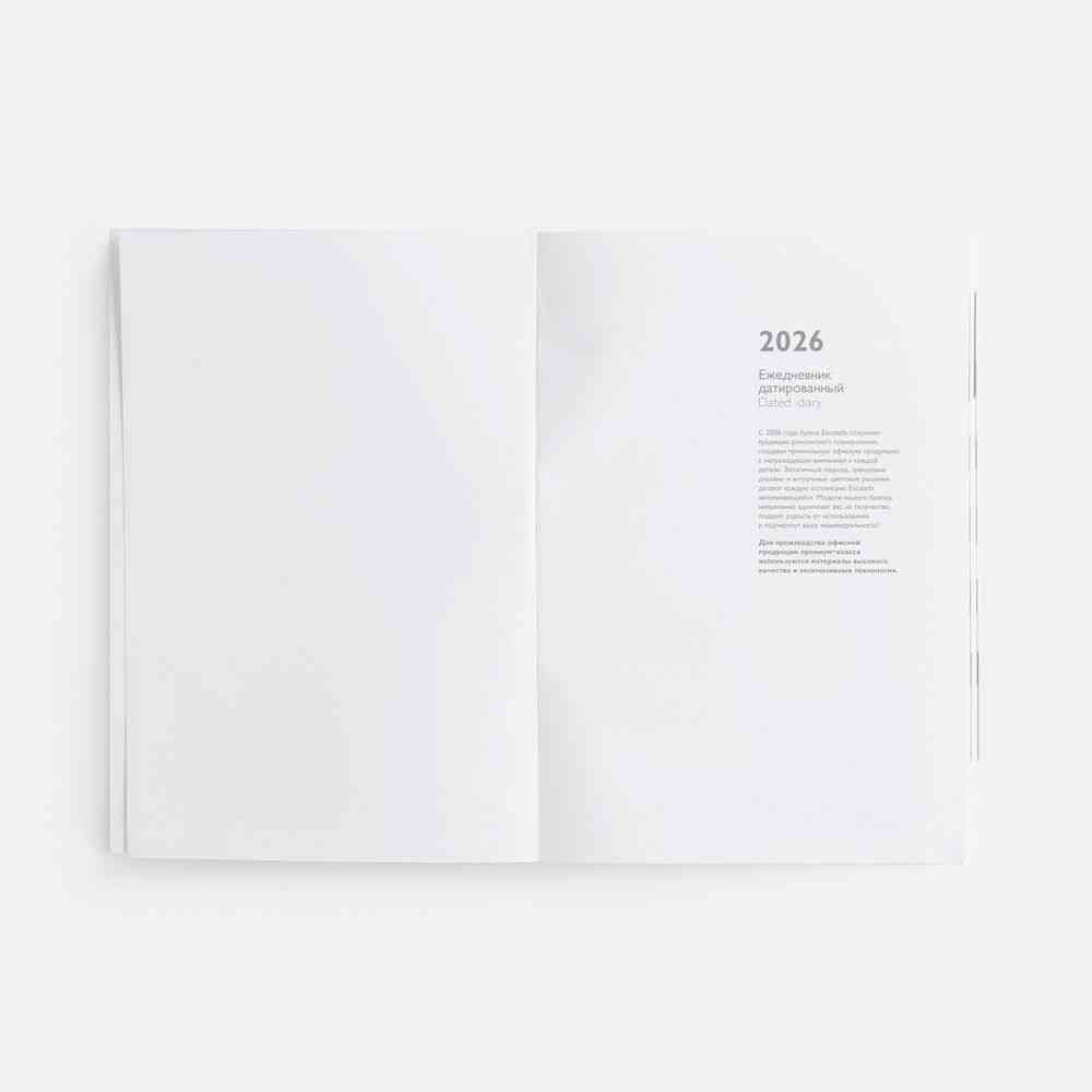 Ежедневник Baza, датированный, красный - 7