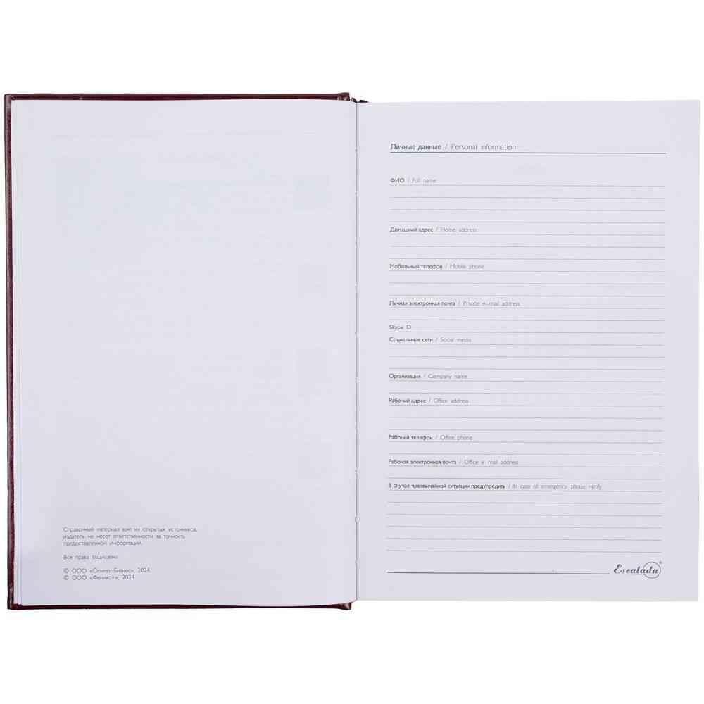 Ежедневник Baza, датированный, коричневый - 8