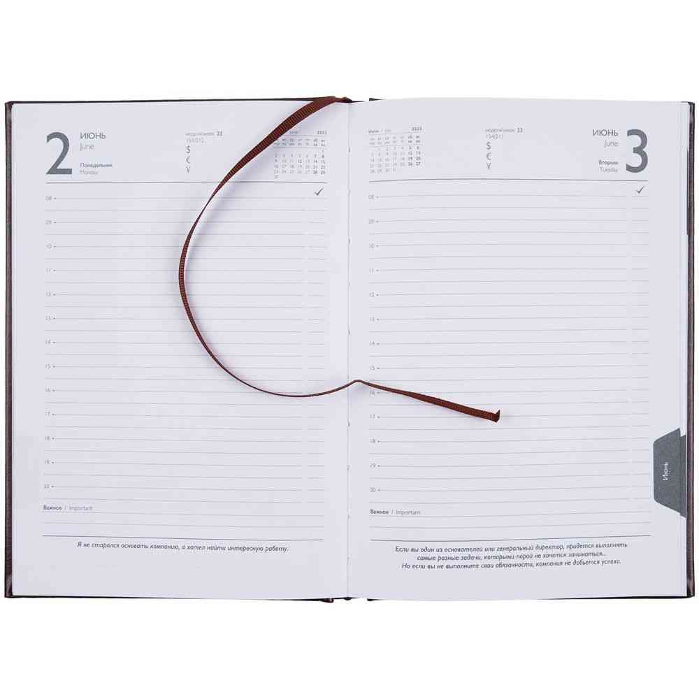 Ежедневник Baza, датированный, коричневый - 10