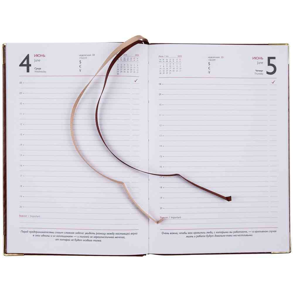 Ежедневник Lugo, датированный, коричневый - 11