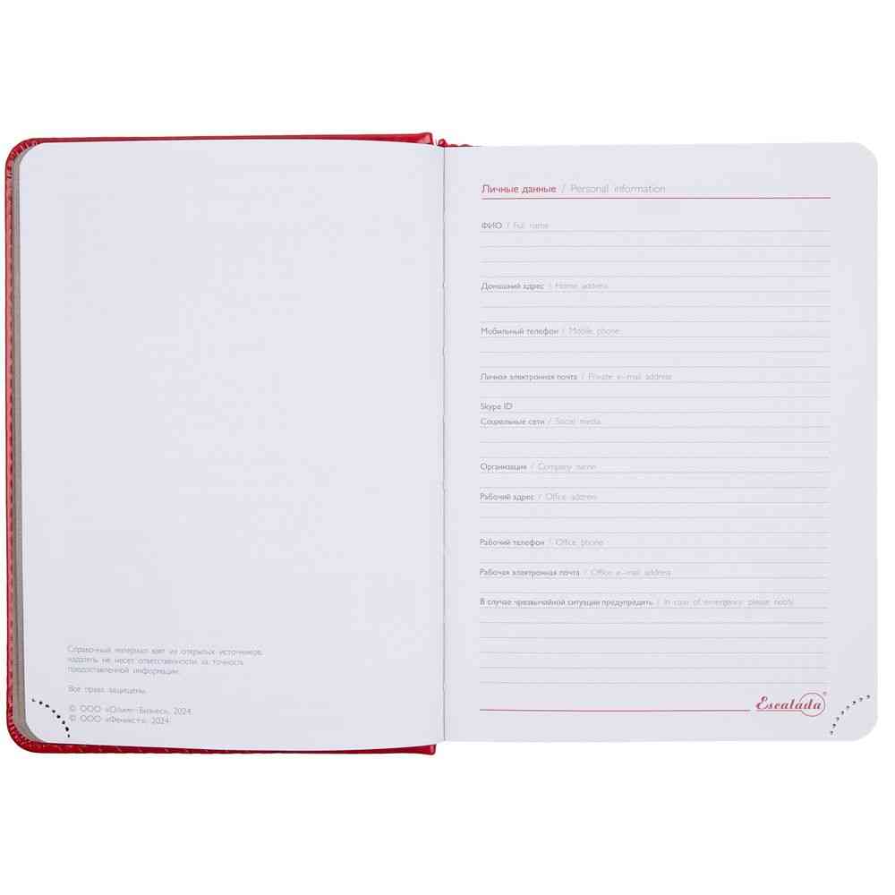 Ежедневник Faro Mini, датированный, красный - 7