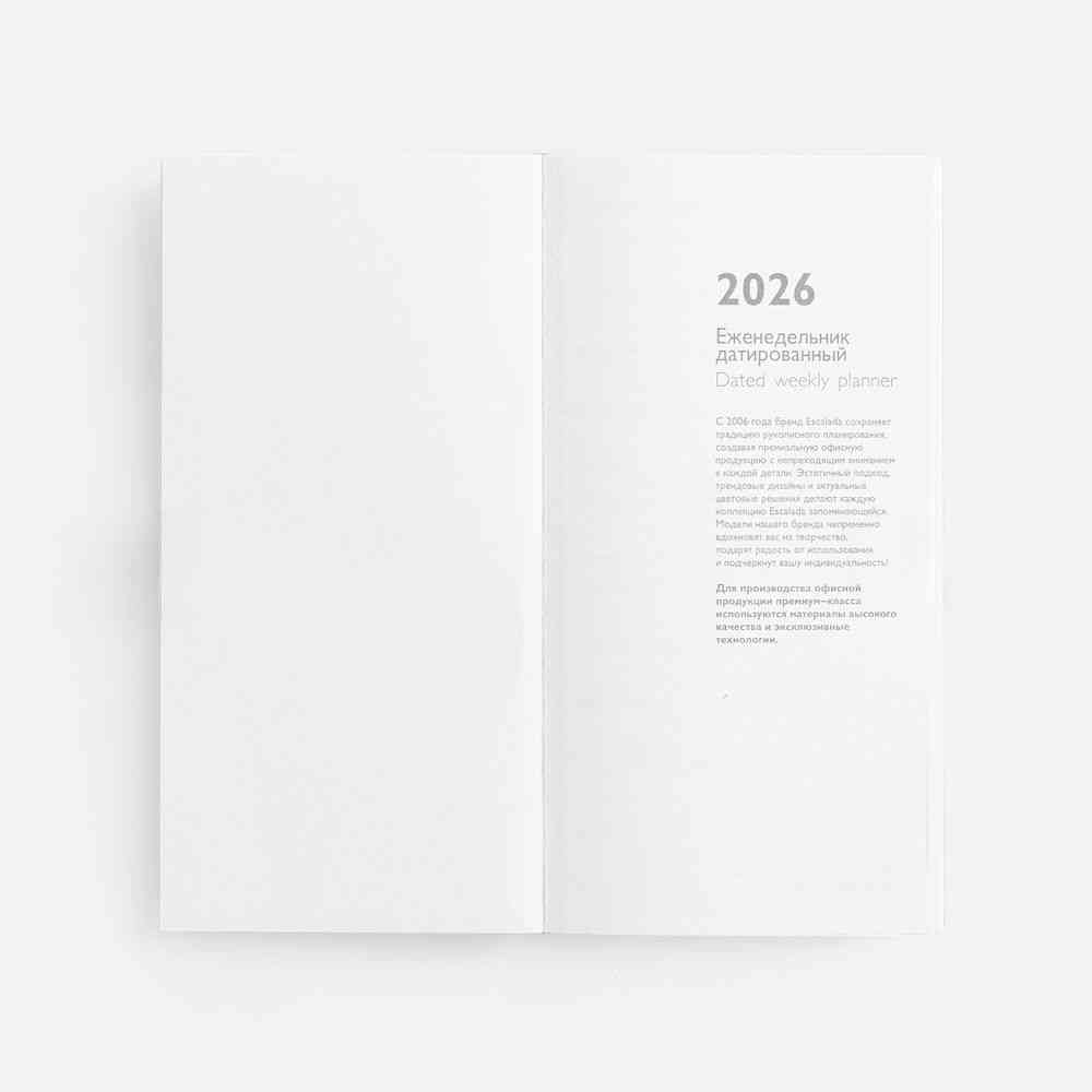 Еженедельник Baza, датированный, синий - 6