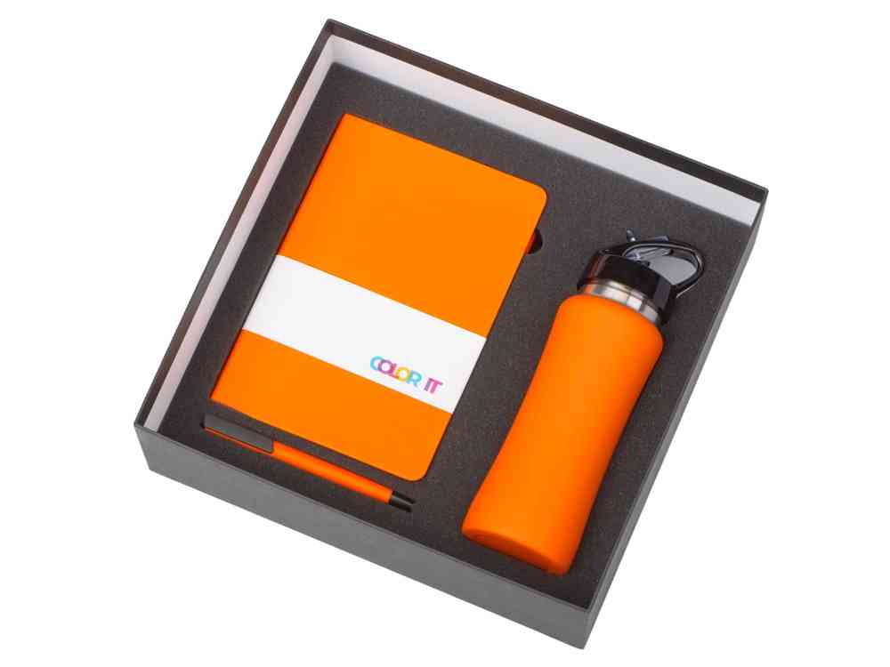 Подарочный набор c блокнотом C3, ручкой и бутылкой - 2