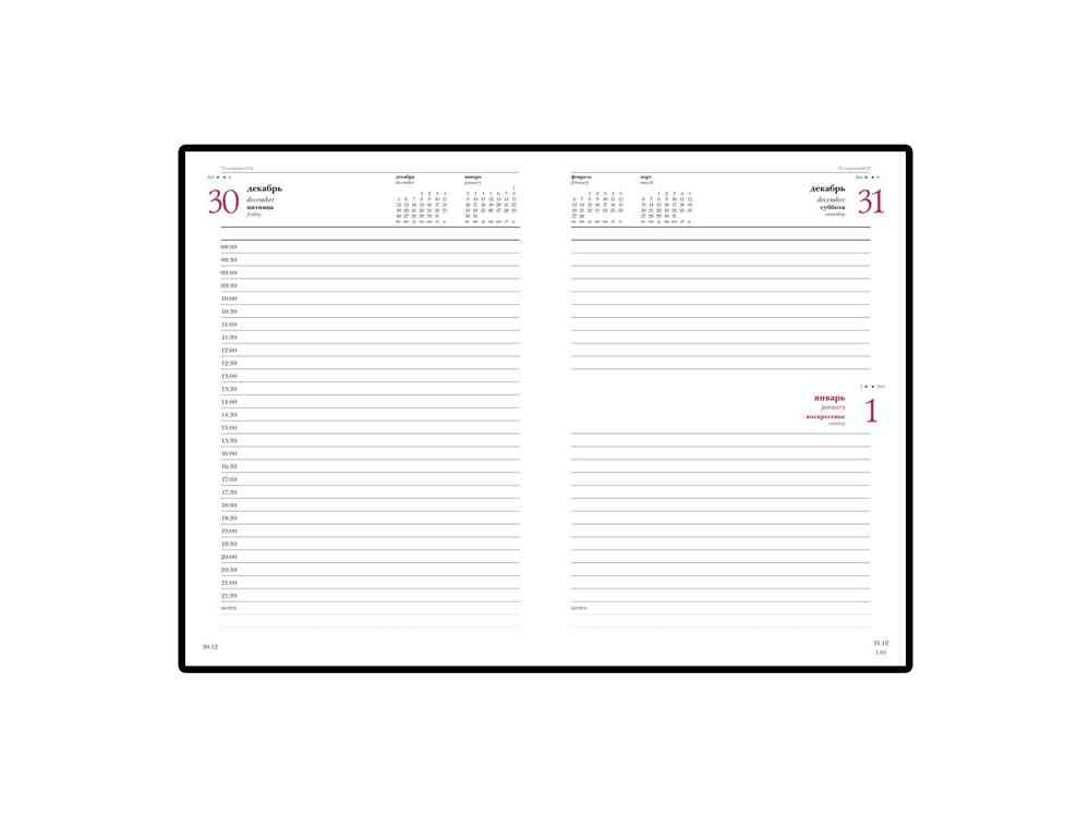 Ежедневник датированный А5 Ideal New на 2025 год - 2