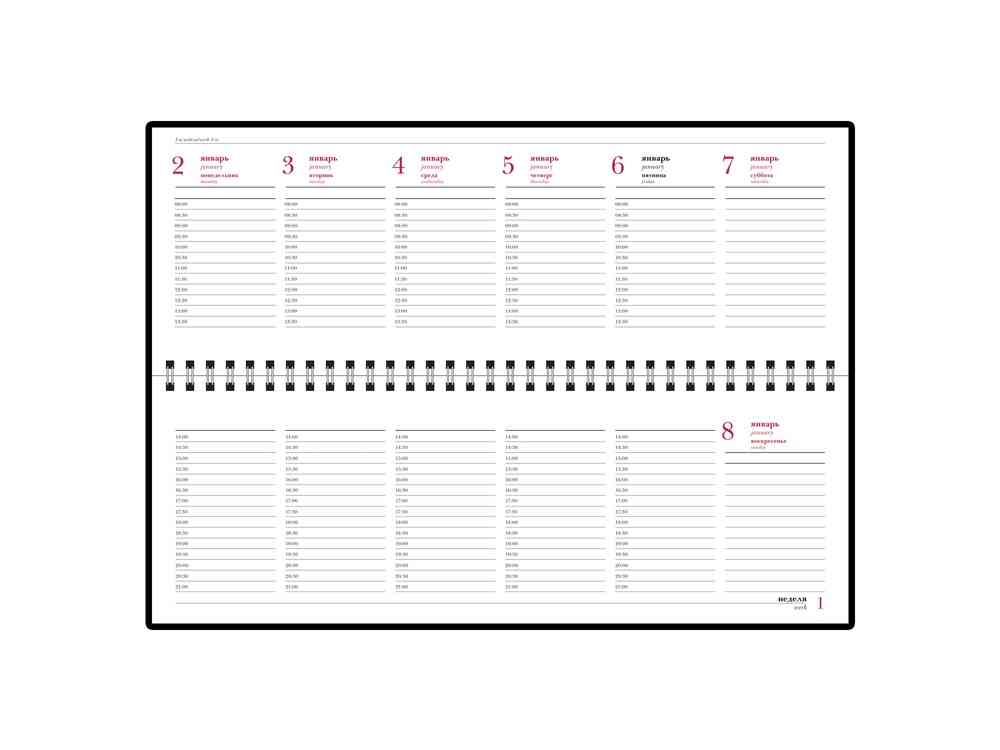 Планинг датированный Ideal New на 2025 год - 2