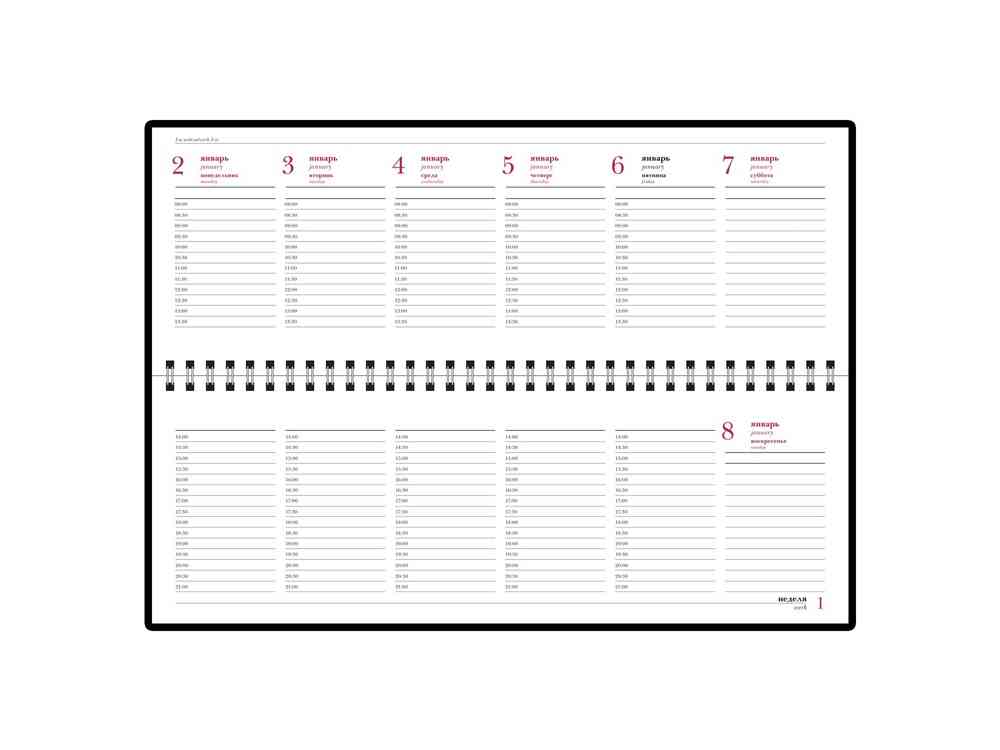 Планинг датированный Velvet на 2025 год - 2