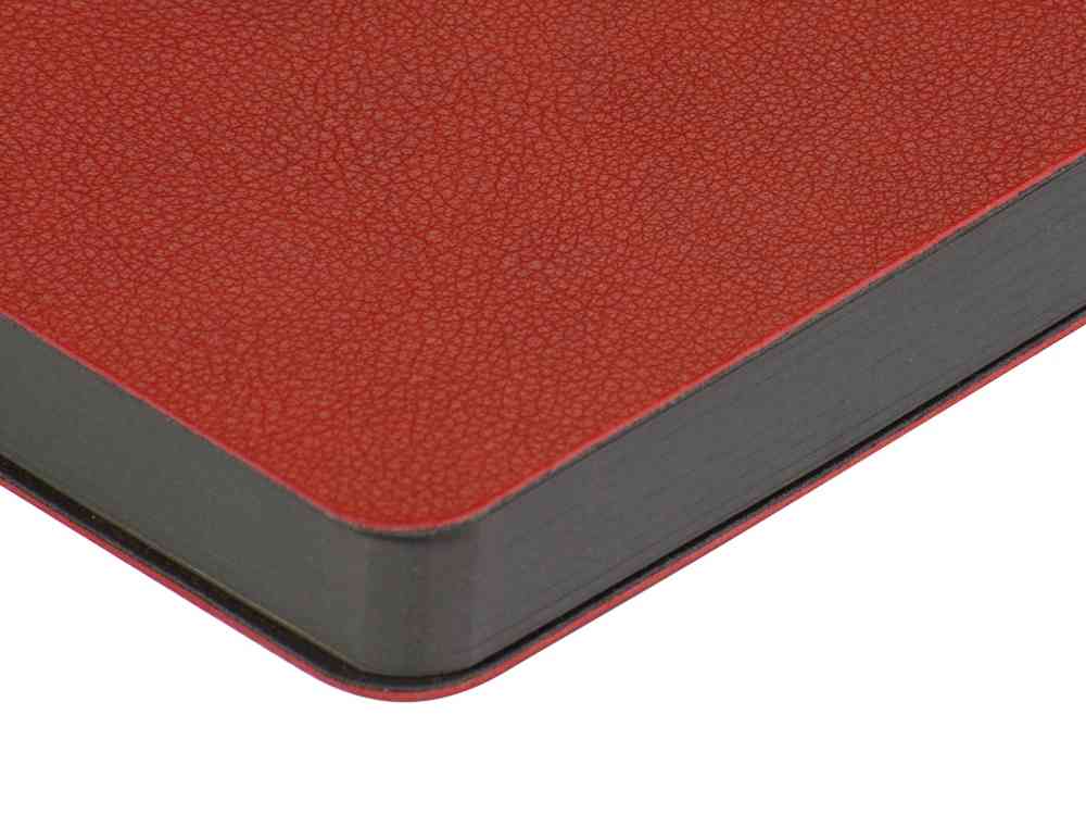 Ежедневник А5 датированный Boston на 2026 год - 4