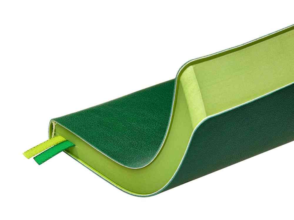 Ежедневник А5 датированный Boston на 2026 год - 6