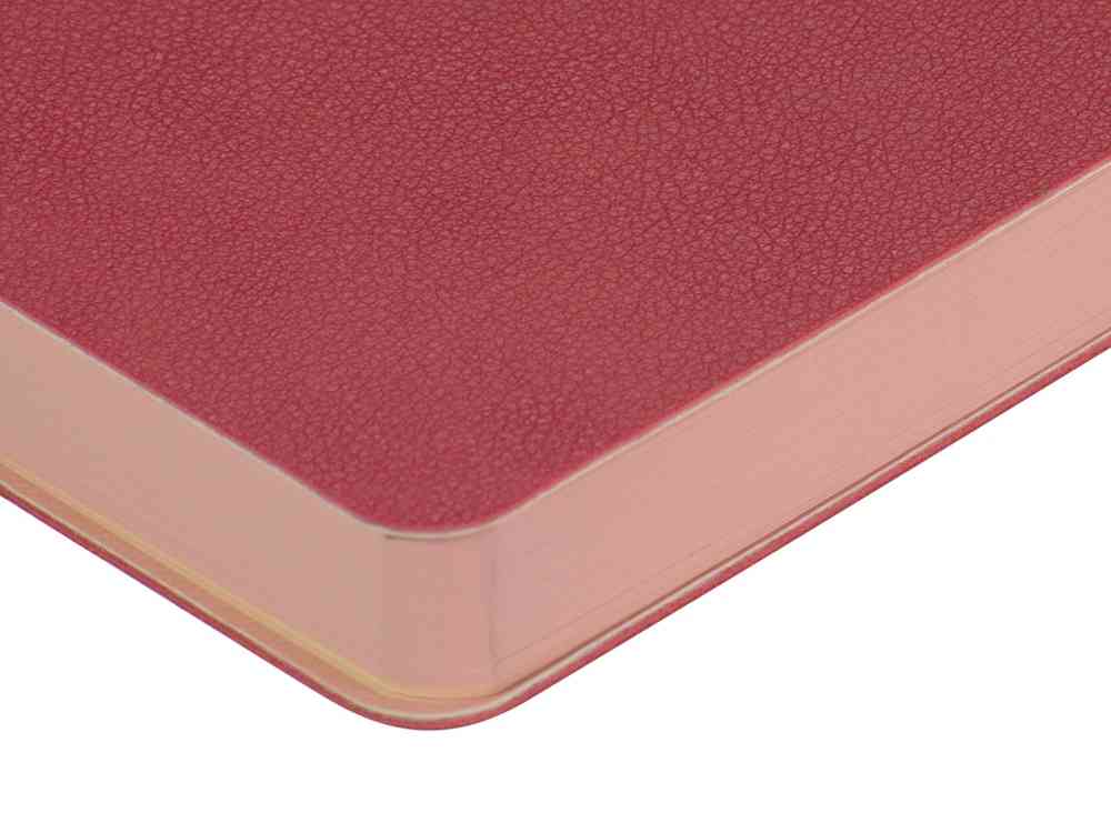 Ежедневник А5 датированный Boston на 2026 год - 4