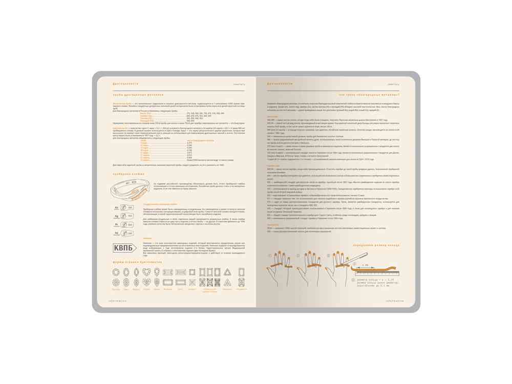 Ежедневник А5 датированный Boston на 2026 год - 7
