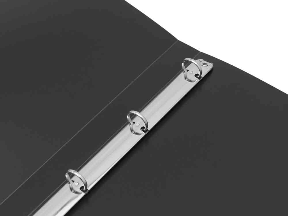 Папка на 4-х кольцах - 6