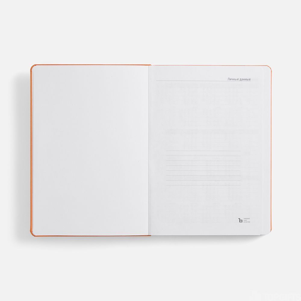 Ежедневник Basis, датированный, оранжевый - 6