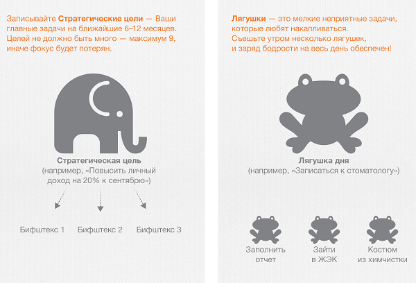 Слон и лягушка в тайм-менеджменте. Слоны в тайм менеджменте это. Съесть слона тайм менеджмент.